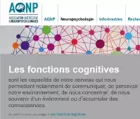 Les fonctions cognitives