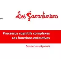 Processus cognitifs complexes : les fonctions exécutives